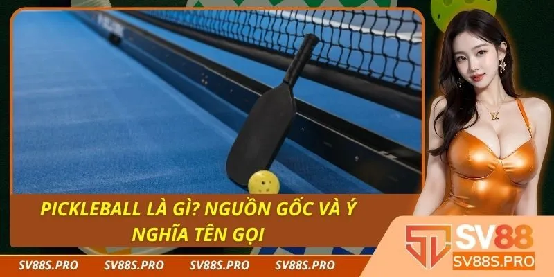 Giới thiệu toàn diện về xổ số